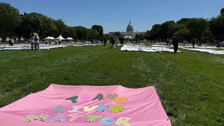 „Trans Lives Matters“ - auf der National Mall vor dem Kapitol sind am ersten Tag der Worldpride verschiedene Banner zu sehen, auf denen die Rechte von Transpersonen eingefordert werden. „Trans Lives Matters“ - auf der National Mall vor dem Kapitol sind am ersten Tag der Worldpride verschiedene Banner zu sehen, auf denen die Rechte von Transpersonen eingefordert werden.