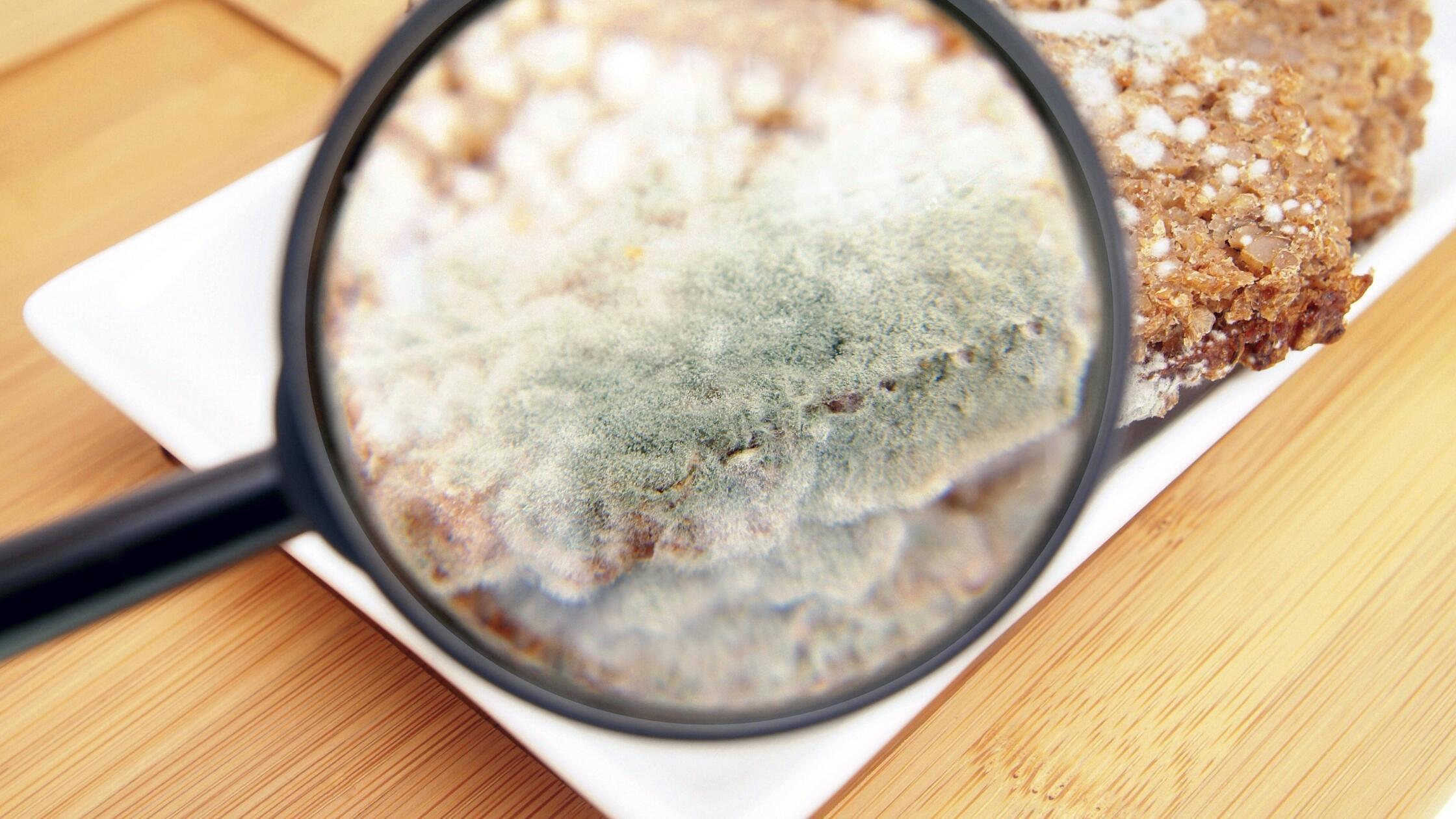 Bildnummer: 53395439  Datum: 24.07.2008  Copyright