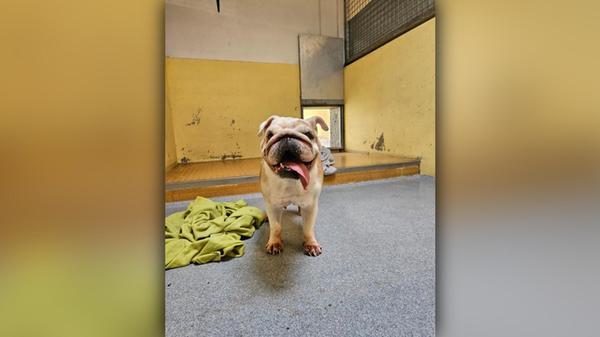 2025-06-08_14-58_bild_erweitern