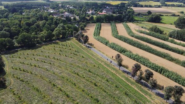 So sieht eine Flächenkombination aus, die dafür so