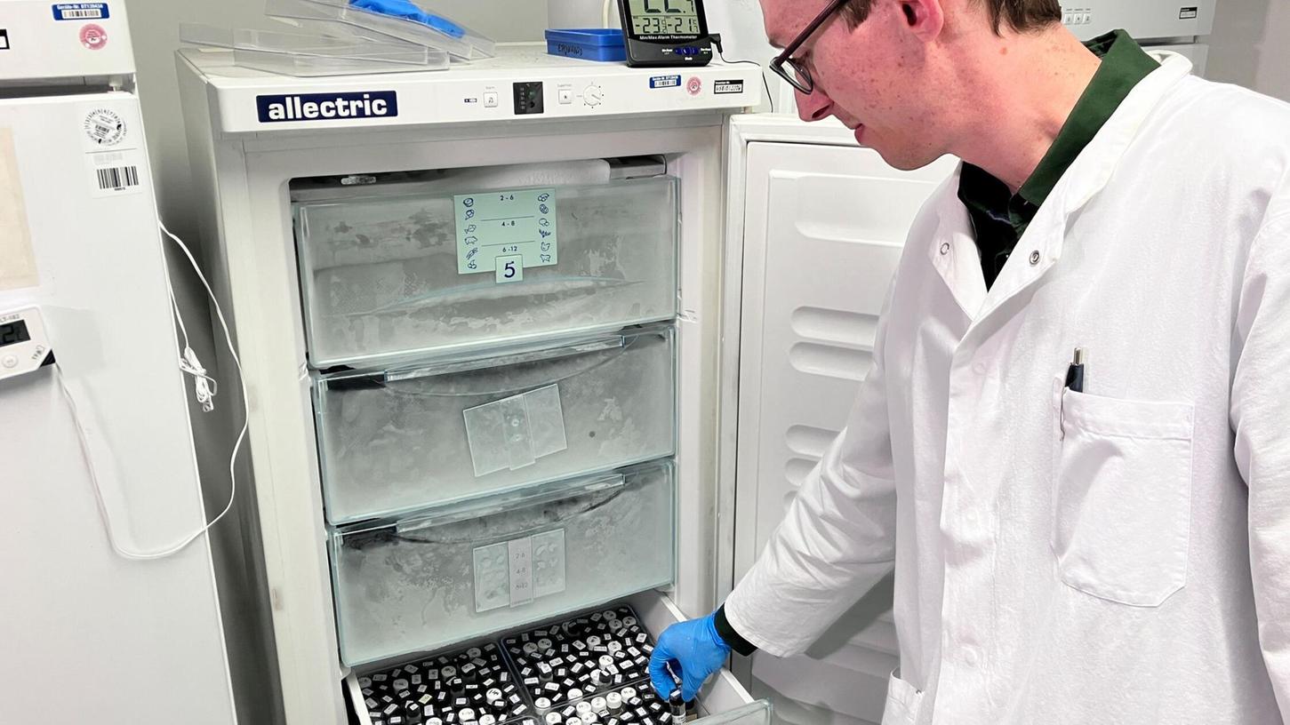 Pestiziduntersuchungen bei Obst und Gemüse zeigen: Die Lebensmittel sind hinsichtlich Rückständen von Pflanzenschutzmitteln sicher - besonders Bio-Produkte. Pestiziduntersuchungen bei Obst und Gemüse zeigen: Die Lebensmittel sind hinsichtlich Rückständen von Pflanzenschutzmitteln sicher - besonders Bio-Produkte.