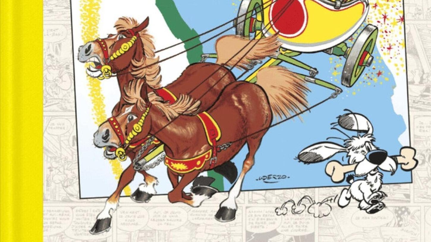 1965 war Idefix noch ein anonymer Streuner. 1965 war Idefix noch ein anonymer Streuner.