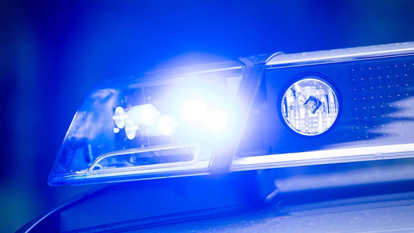 Die Polizei fing zusammen mit dem Schäfer 30 Schafe ein. (Symbolbild) Die Polizei fing zusammen mit dem Schäfer 30 Schafe ein. (Symbolbild)