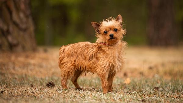 503797006_1131456145693822_7747490251113750846_n