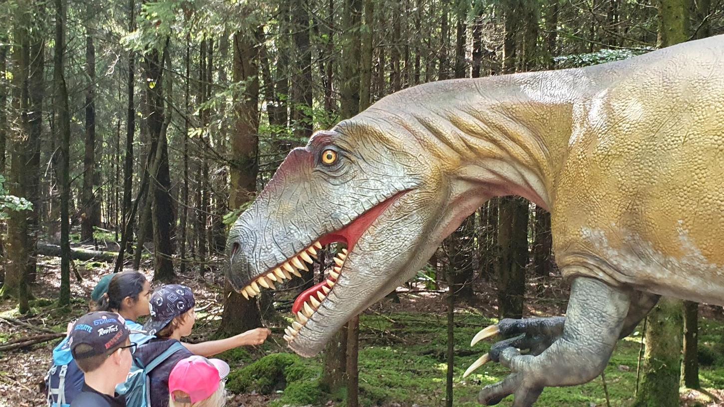 Auch zu den Dinos geht es mit dem Zirndorfer Ferienprogramm. Auch zu den Dinos geht es mit dem Zirndorfer Ferienprogramm.