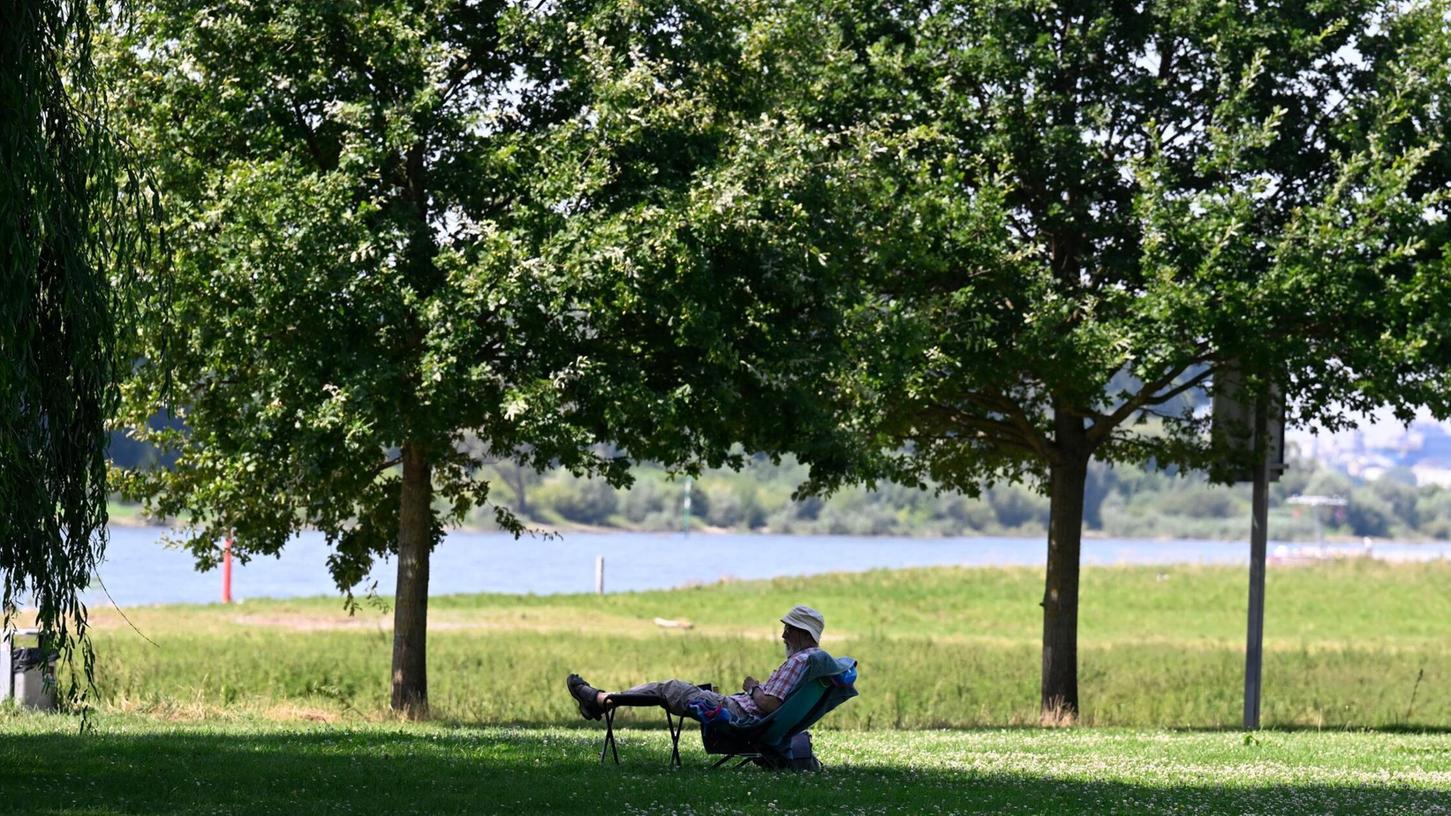 Ein Mann hat sich ein schattiges Plätzchen am Ufer des Rheins in Leverkusen gesucht. (Archivbild) Ein Mann hat sich ein schattiges Plätzchen am Ufer des Rheins in Leverkusen gesucht. (Archivbild)
