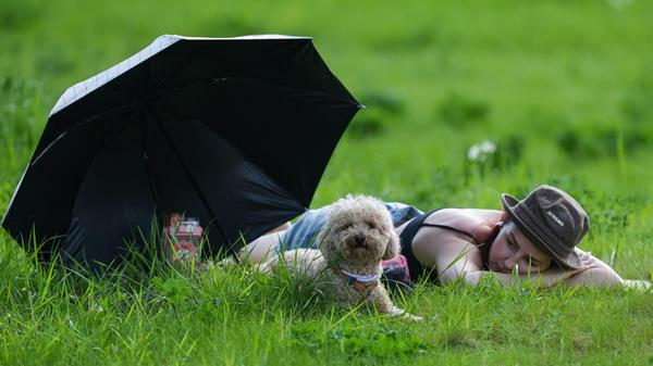 Russian city of Novosibirsk in summer