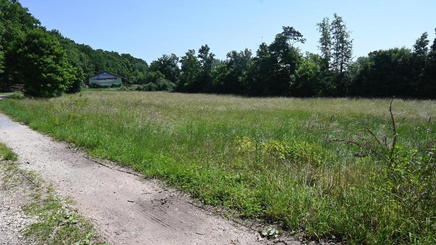 Pläne an der B14: Norma-Markt und Drogerie am Rückersdorfer Ortsrand in Richtung Lauf? Pläne an der B14: Norma-Markt und Drogerie am Rückersdorfer Ortsrand in Richtung Lauf?
