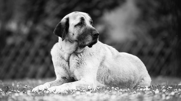 505415677_1132451605594276_3846915832498894600_n