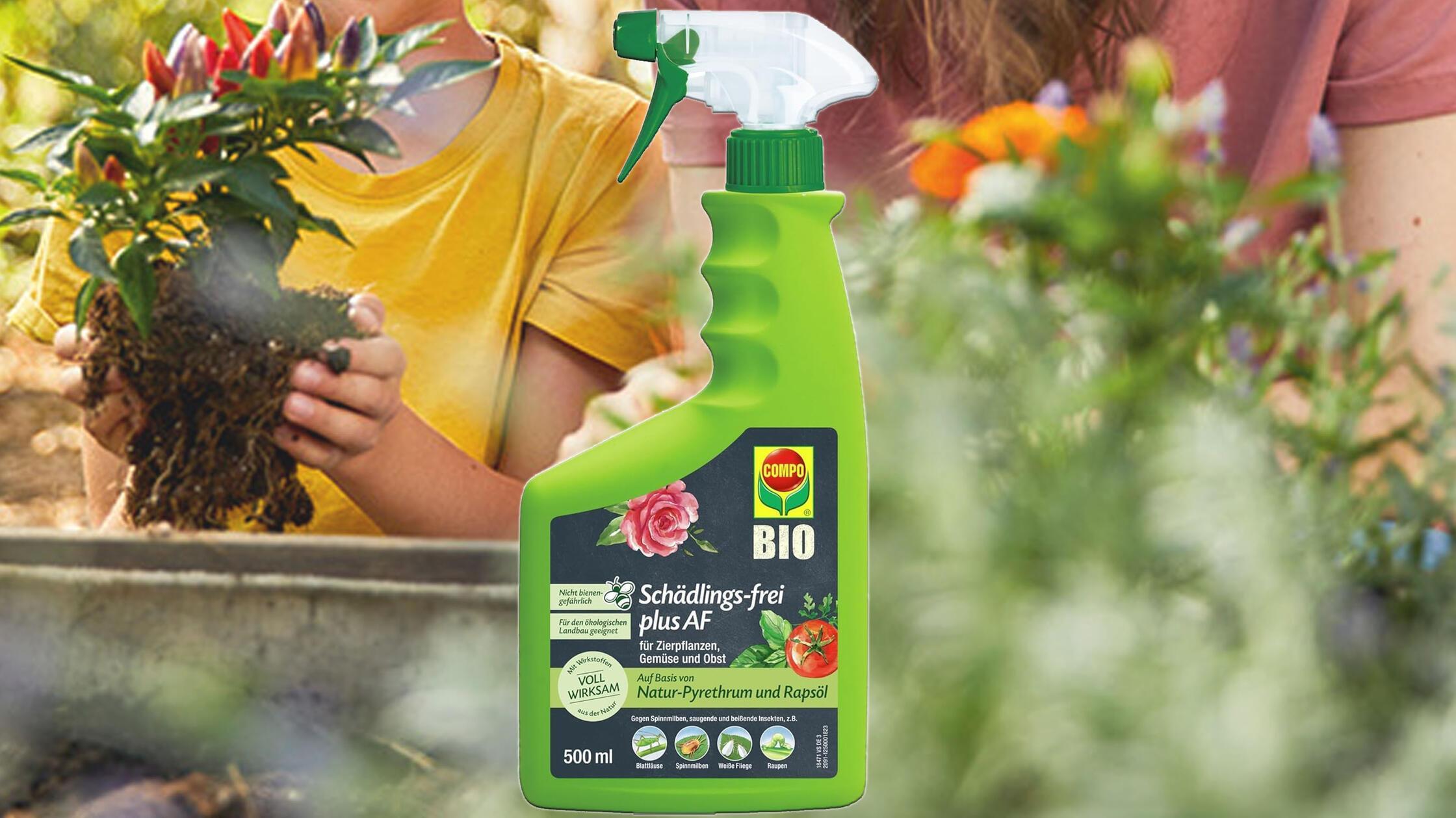 Schtzt Ihre Pflanzen vor Schdlingen: Megaseller Compo-Spray gegen  Blattluse & Buchsbaumznsler
