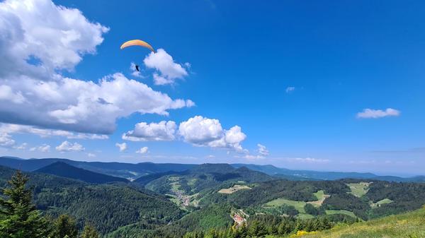 Blick über den Schwarzwald
