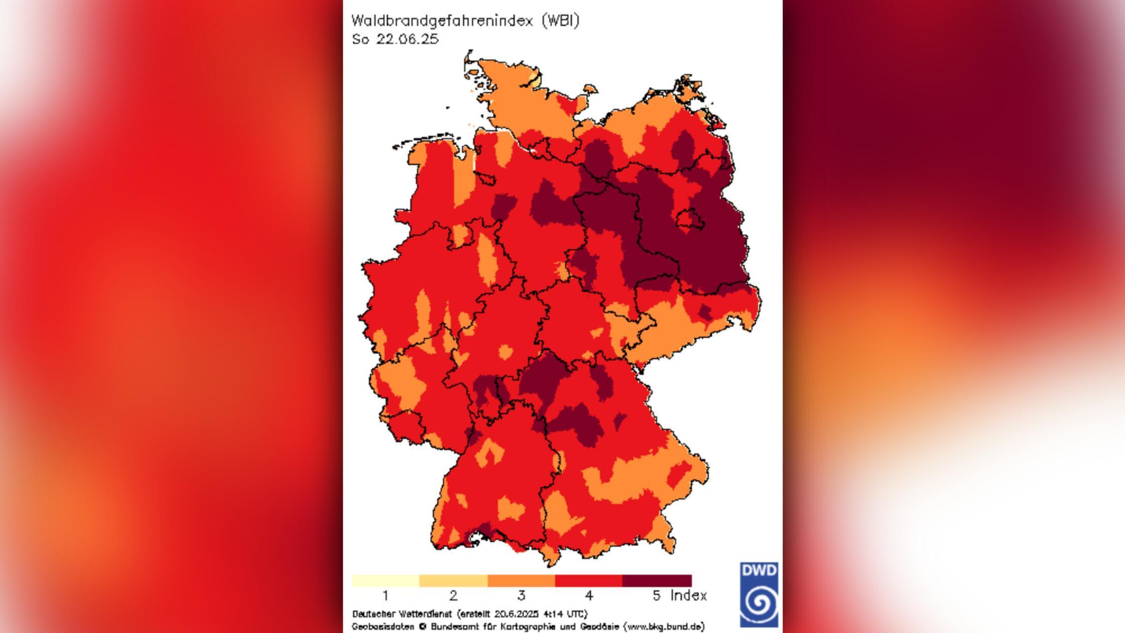 H-chste-Waldbrand-Alarmstufe-in-Franken-Beh-rden-reagieren-Verbote-f-r-Waldbesucher