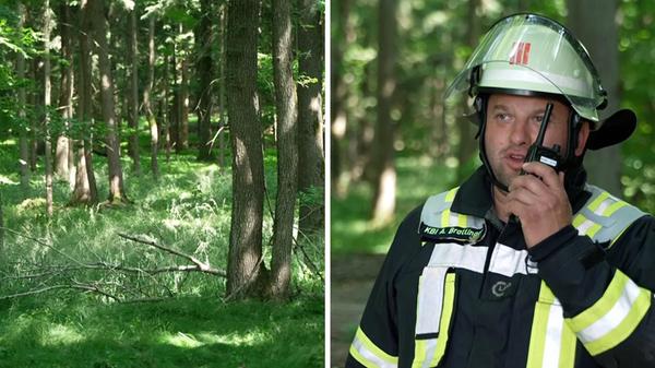 2025-06-20_17-19_collage