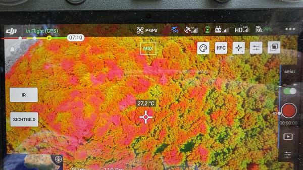 Waldbrand-Warnstufe steigt auf's Maximum: Bayerns