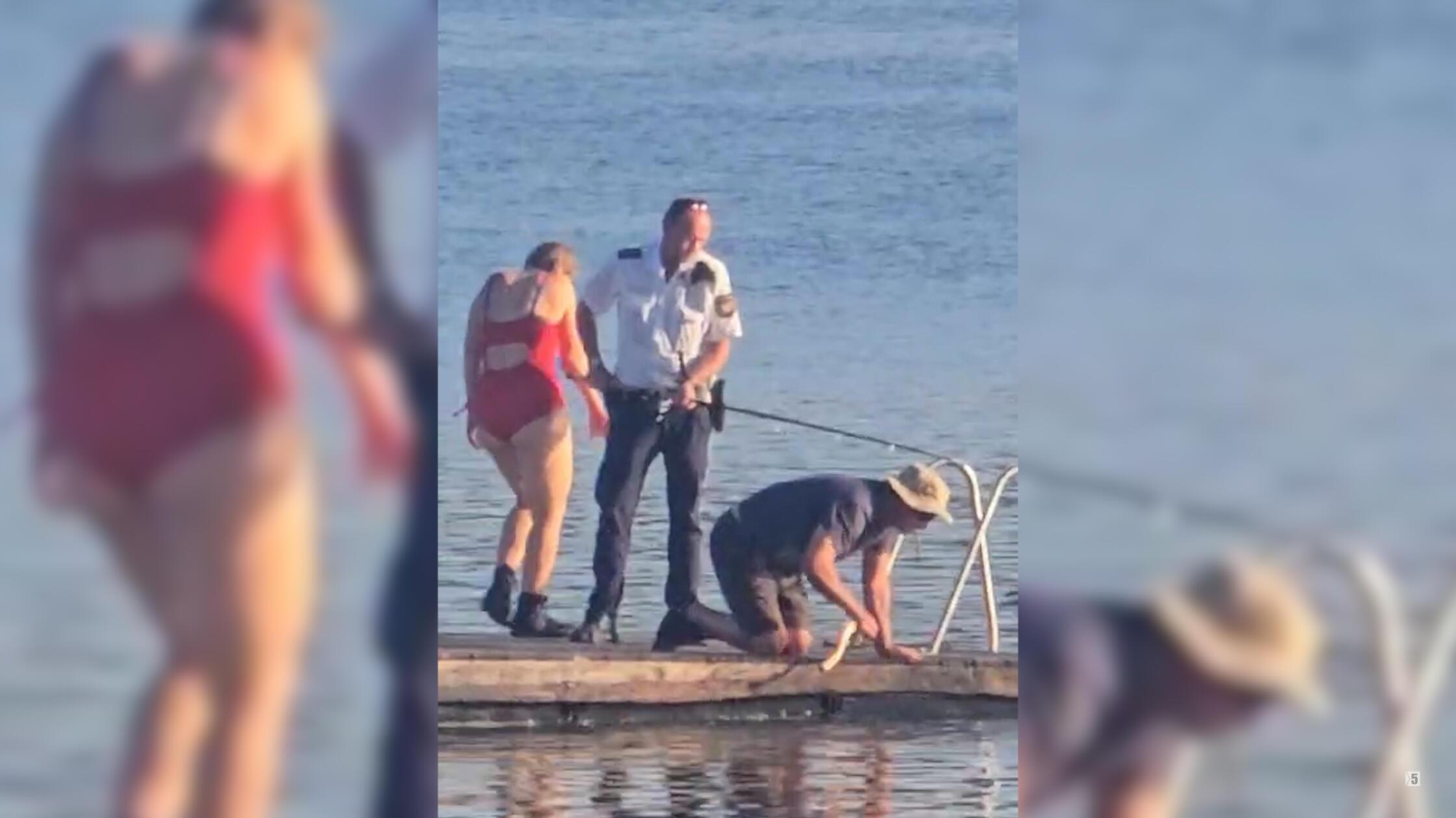 Ein über zwei Meter langer und rund 90 Kilogramm s