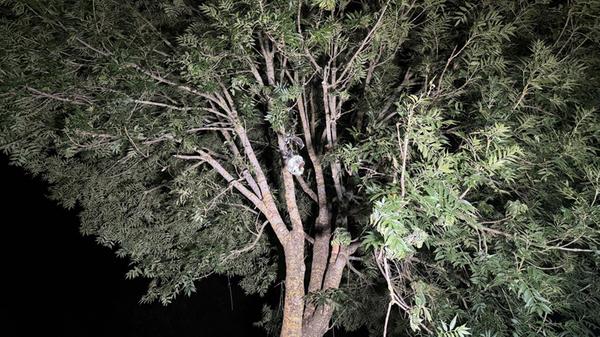 Flammen in der Nacht, ein zerstörter Wagen – und e