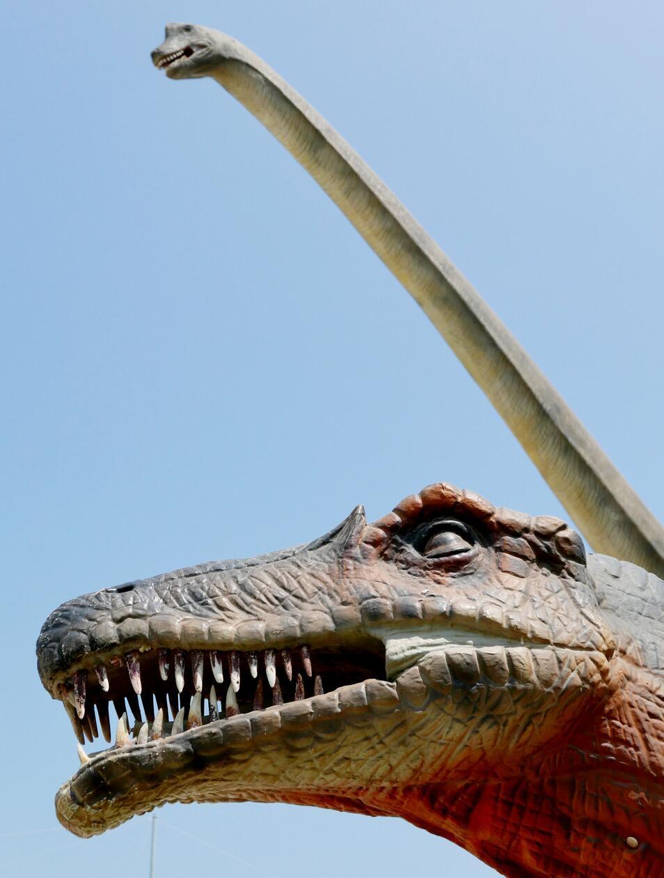 Immerhin wurden hier einige Skelette und Fußabdrücke der Tiere gefunden.