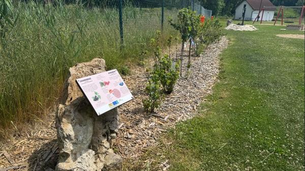 Neben dem Biergarten gibt es einen großen Spielplatz.Der anliegende Spielplatz bietet viel Spaß für Groß und Klein.