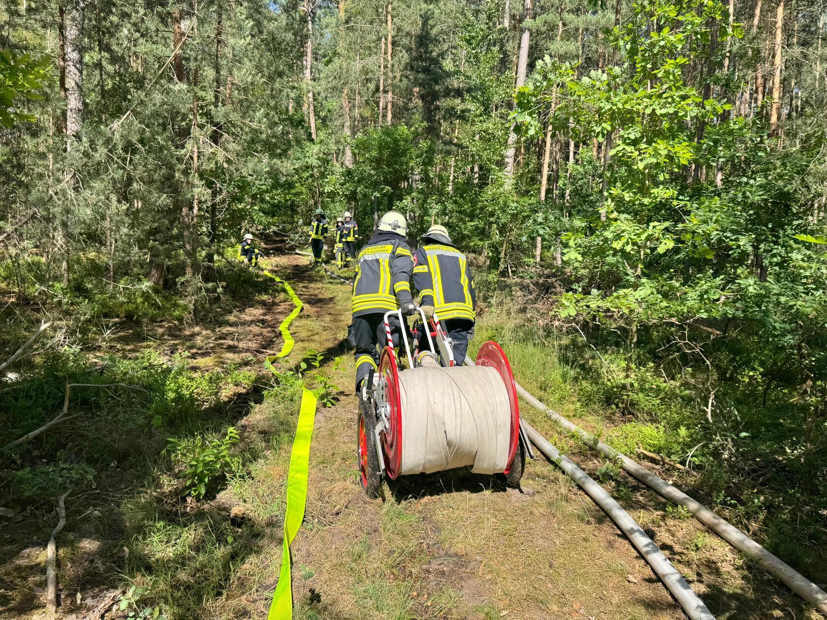 Ein Waldbrand hält am Dienstagnachmittag (24.06.2025) die Einsatzkräfte in Wendelstein in Atem.