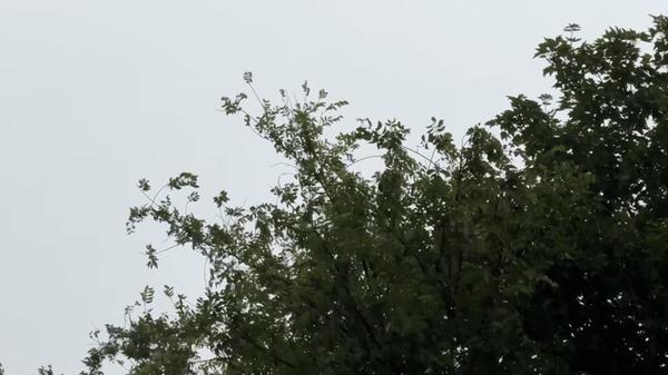 Mehrere Gewitterzellen zogen am Donnerstag (26.06.