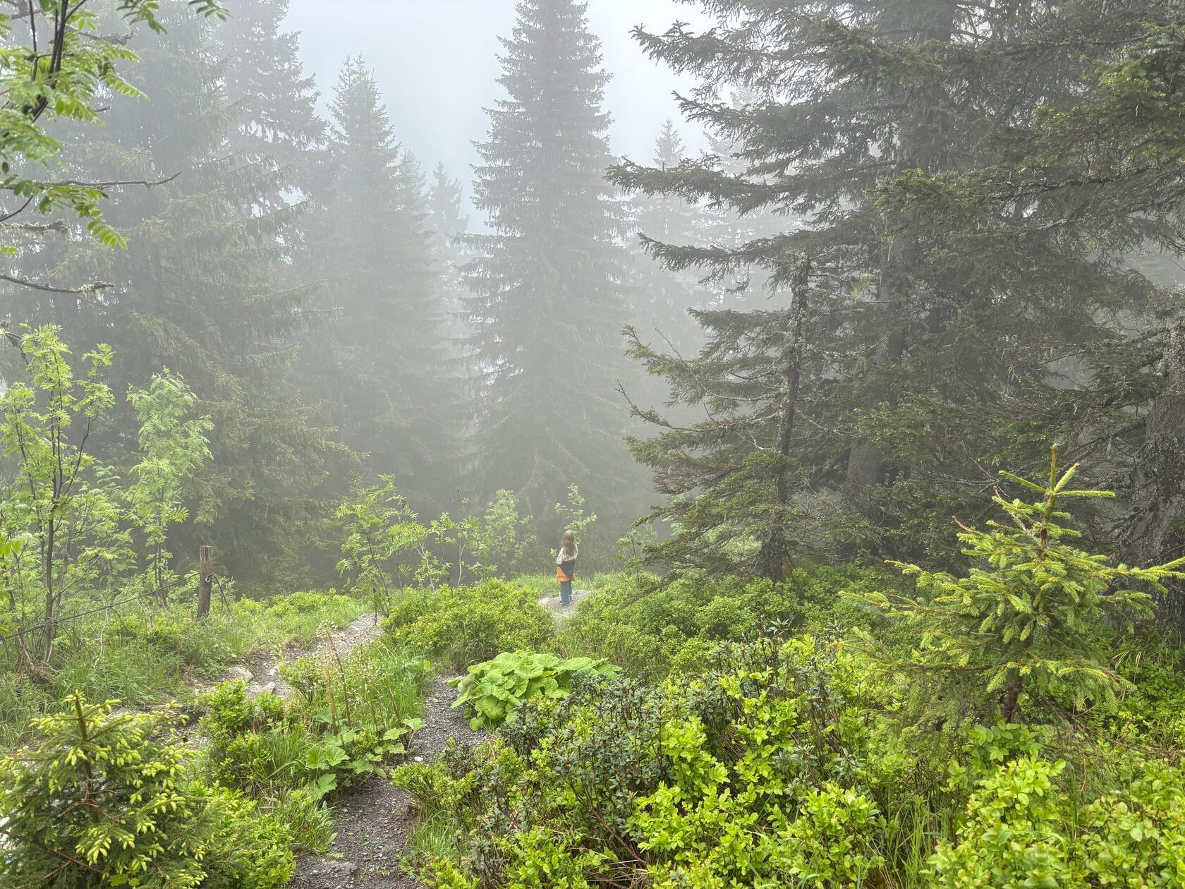 Hinauf auf den Erlebnisberg Golm im Montafon geht es dann allerdings mit Seilbahn und Gondel. Oben herrscht noch dichter Nebel. Die Kinder sind trotzdem motiviert, den Berg wandernd zu erkunden.