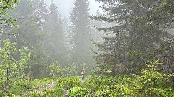 Hinauf auf den Erlebnisberg Golm im Montafon geht es dann allerdings mit Seilbahn und Gondel. Oben herrscht noch dichter Nebel. Die Kinder sind trotzdem motiviert, den Berg wandernd zu erkunden.