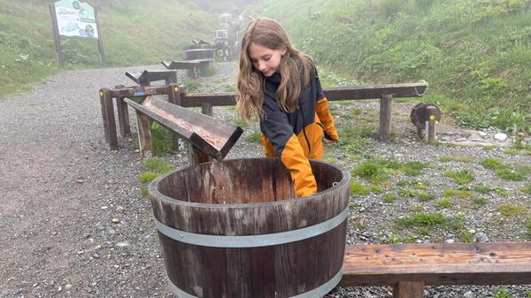 Golmi's Forschungspfad macht es möglich - ein 2,4 km langer, abwärts verlaufender Wanderweg mit einem Aktivprogramm für Familien. 22 Erlebnisstationen laden dazu ein, die Natur bewusst zu erleben, zu forschen und die alpine Tier- und Pflanzenwelt des Montafons zu entdecken. An manchen kann man aber auch einfach plantschen - wie Nele hier am Wasserbottich.