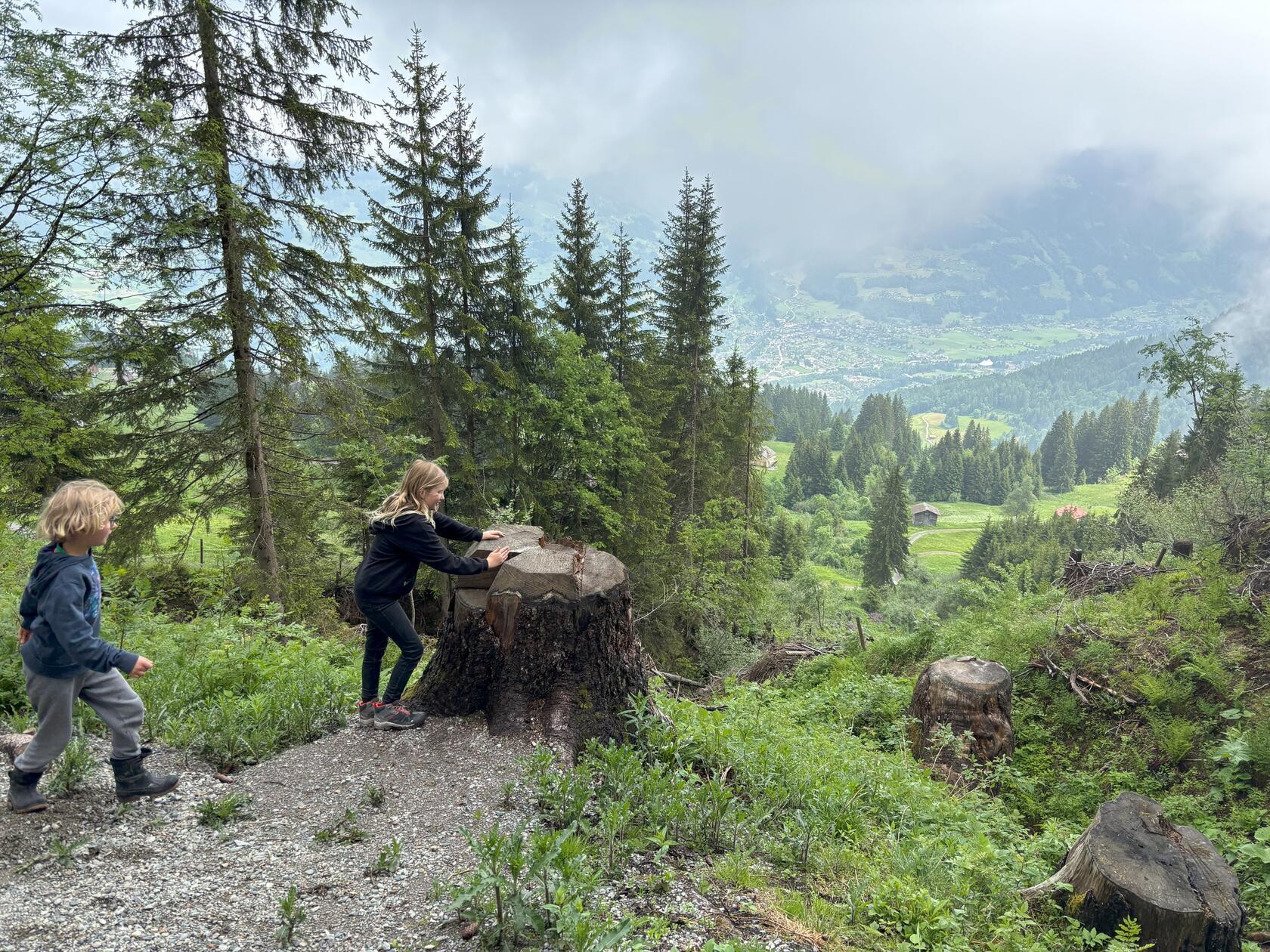 Manchmal reichen zum Spielen auch schon die Überbleibsel eines alten Baums.