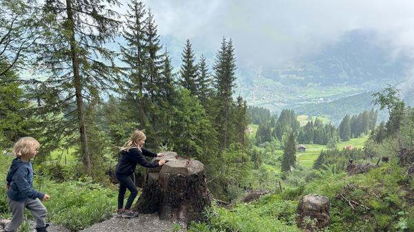 Manchmal reichen zum Spielen auch schon die Überbleibsel eines alten Baums.