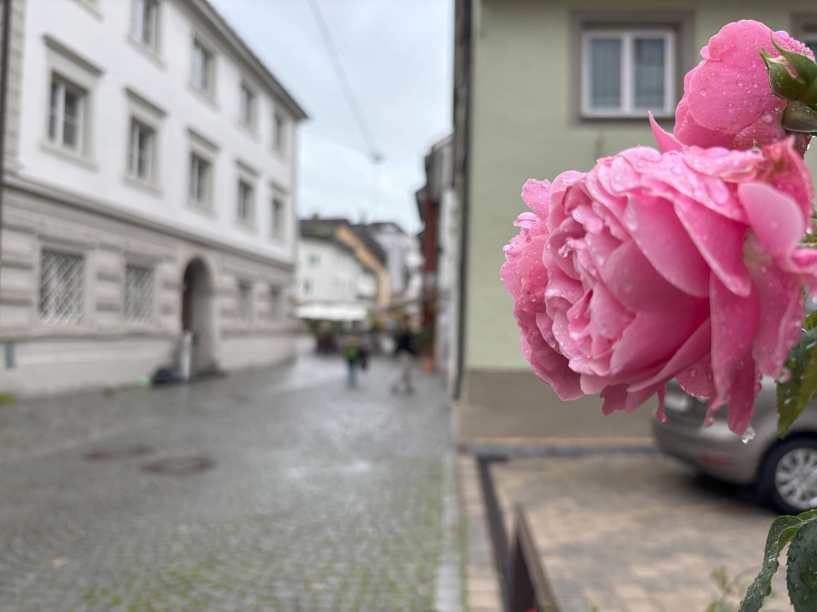 ...bevor der Regen kommt.