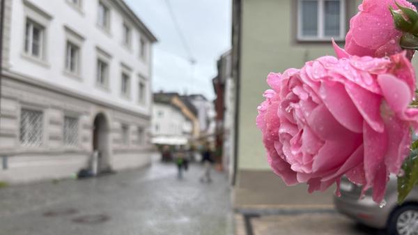 ...bevor der Regen kommt.