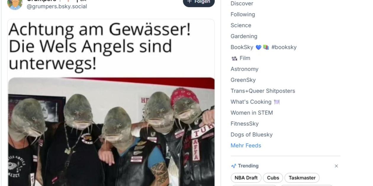 Ein Fisch Ein Ph nomen So Reagieren User Auf Den Bissigen Wels Vom ein-fisch-ein-ph-nomen-so-reagieren-user-auf-den-bissigen-wels-vom