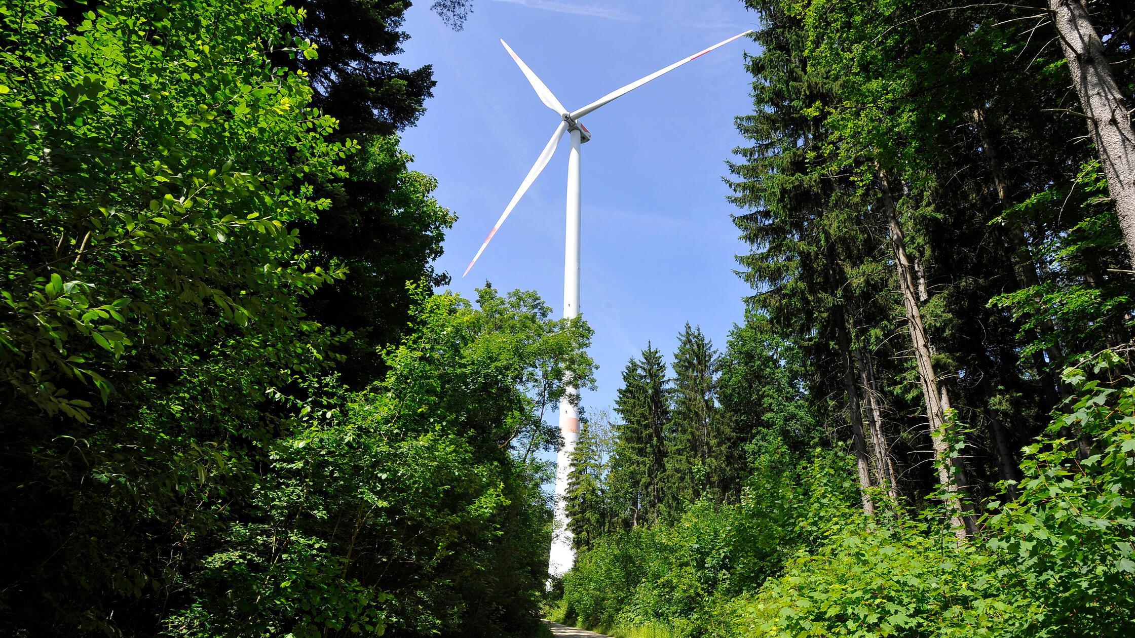 WindparkanlageProtest012