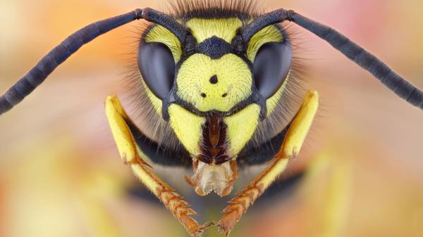 Bildnummer: 58866133 Datum: 03.12.2012 Copyright