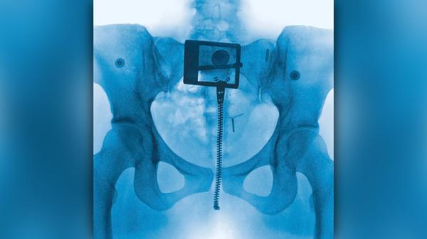 Lorde Album Virgin Vagina