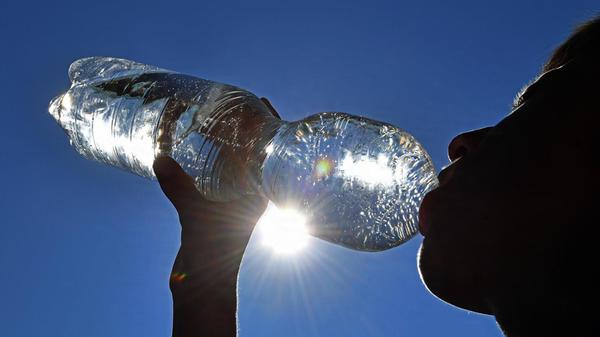 Genug trinken: "Trinken, trinken, trinken!" lautet die Devise bei hochsommerlichen Temperaturen. Vor allem viel Wasser und ungezuckerte Getränke sind nötig, um den natürlichen Abkühlungsmechanismus des Körpers am Laufen zu halten. Kalte Tees bieten eine gesunde Alternative mit Geschmack. Denn: je mehr wir schwitzen, umso mehr Flüssigkeit verlieren wir auch. Die "Deutsche Presse-Agentur" (dpa) empfiehlt ein Glas pro Stunde - auch, wenn man keinen Durst hat. Denn sobald das Gefühl von Durst einsetzt, habe der Körper schon zu viel Flüssigkeit verloren.