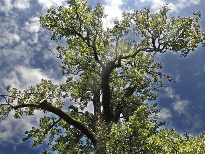 Aktuelle Nachrichten Aus Wurzburg Schweinfurt Franken Bayern