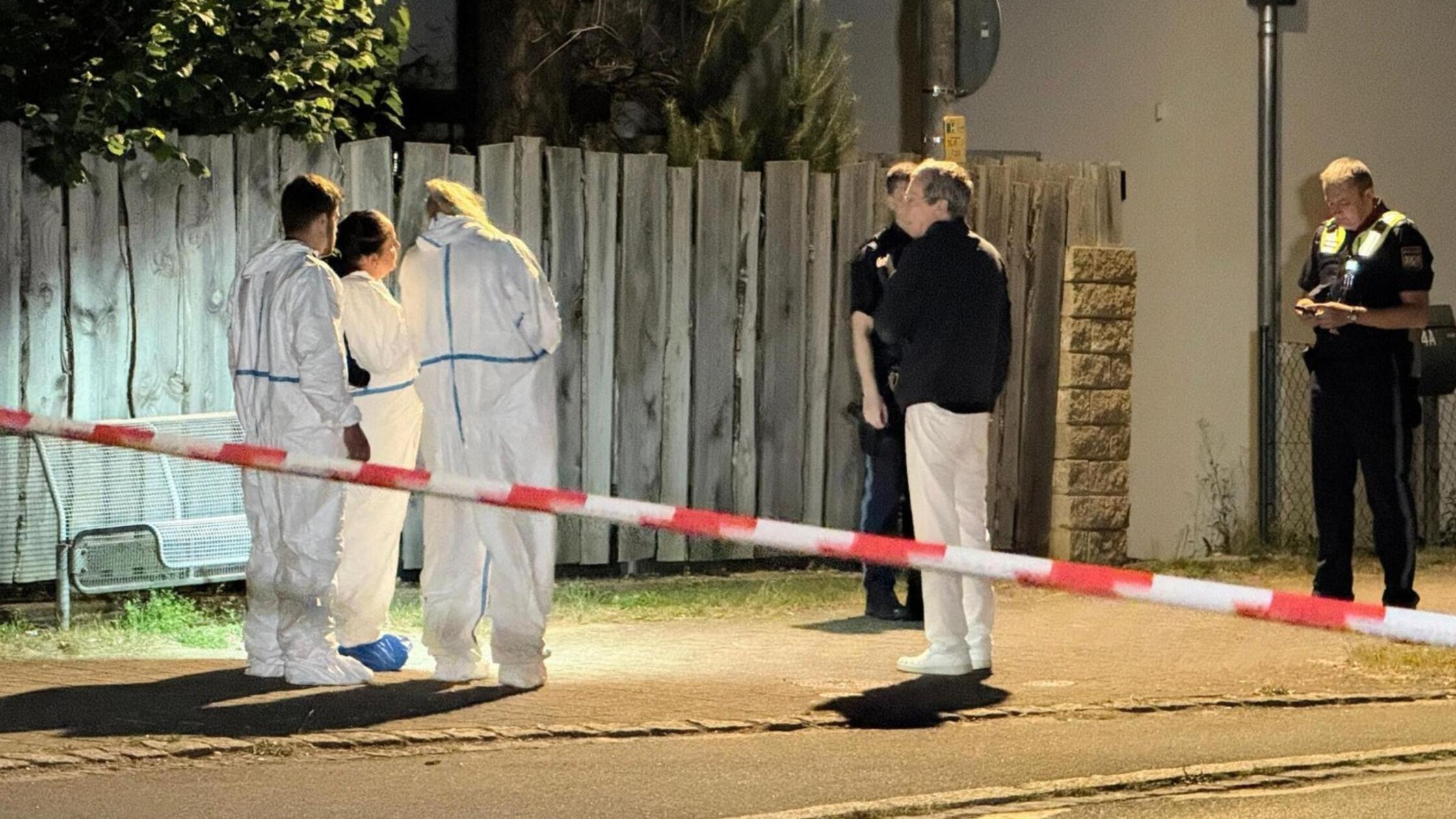 Screenshot 2025-07-01 114732