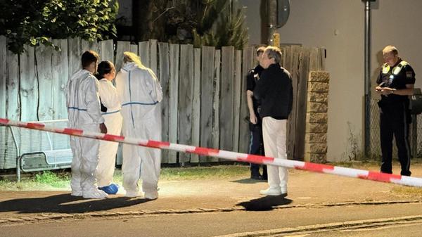 Screenshot 2025-07-01 114732