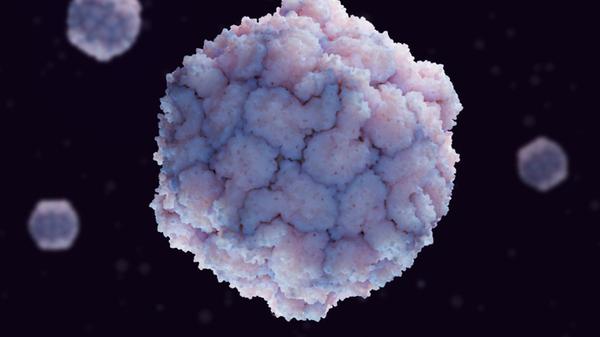 - Poliovirus in Deutschland
