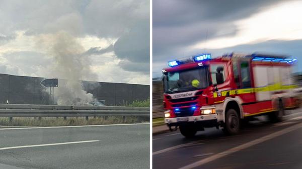 2025-07-08_10-52_collage