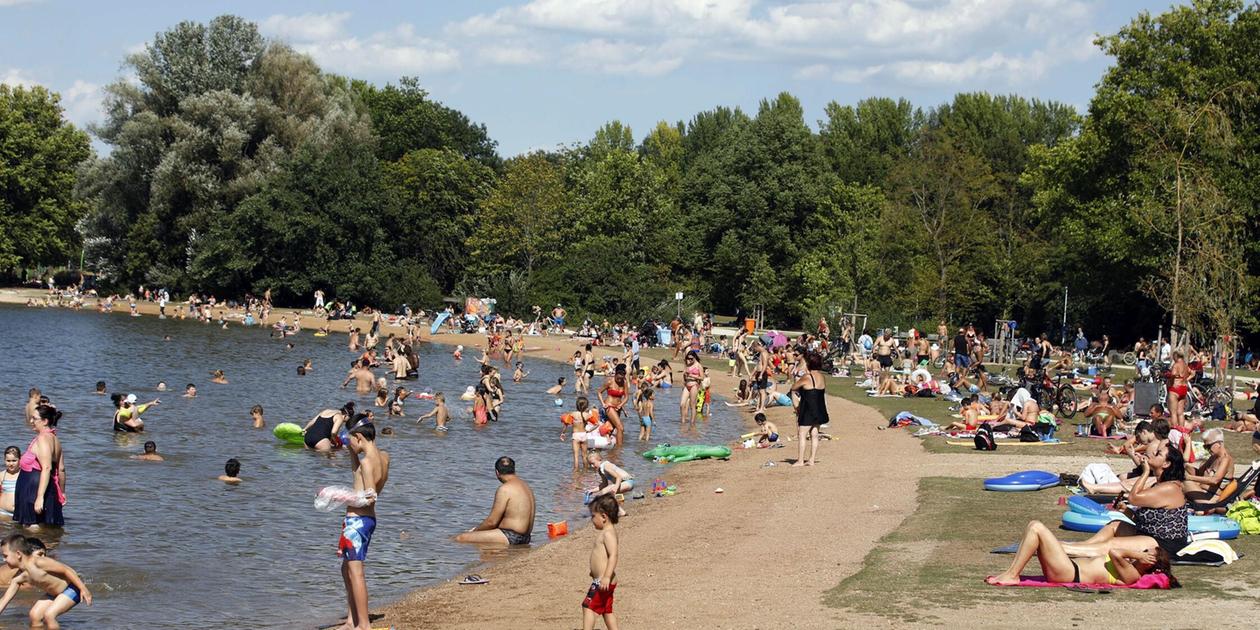 After catfish attack: Is Nuremberg's popular bathing bay on Lake ...