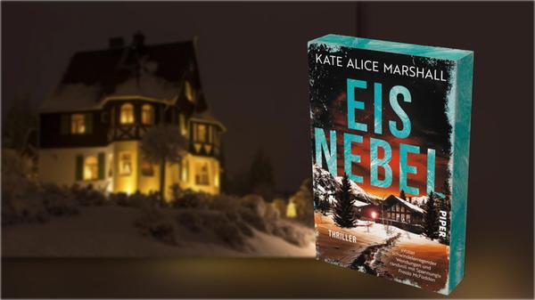 2025-12-12_07-41_collage