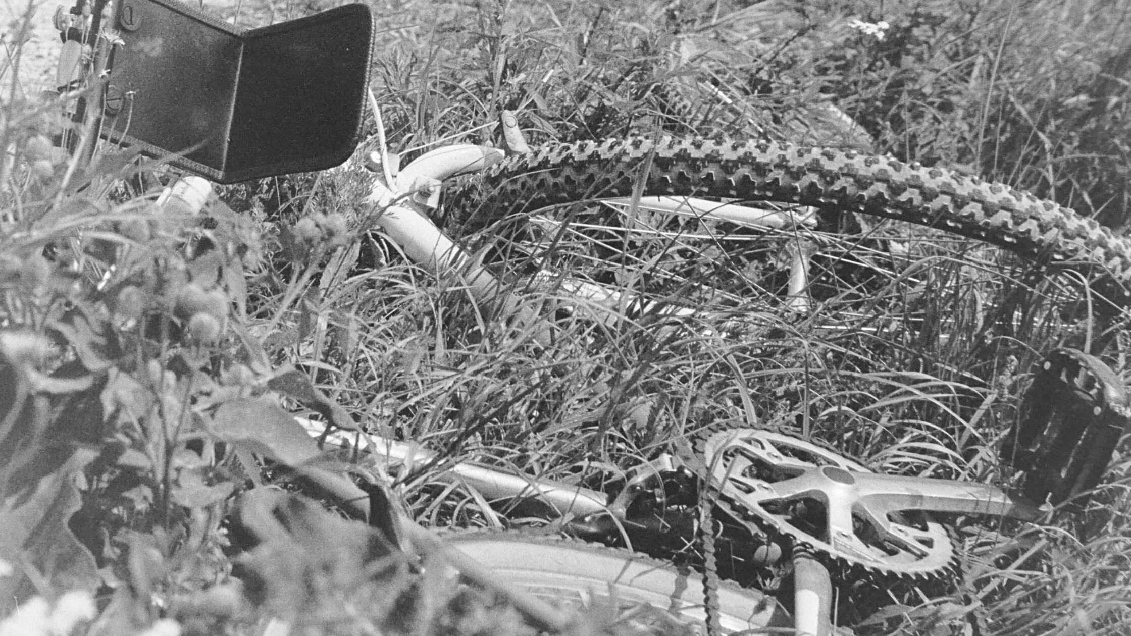 vor30Jahren481081995001