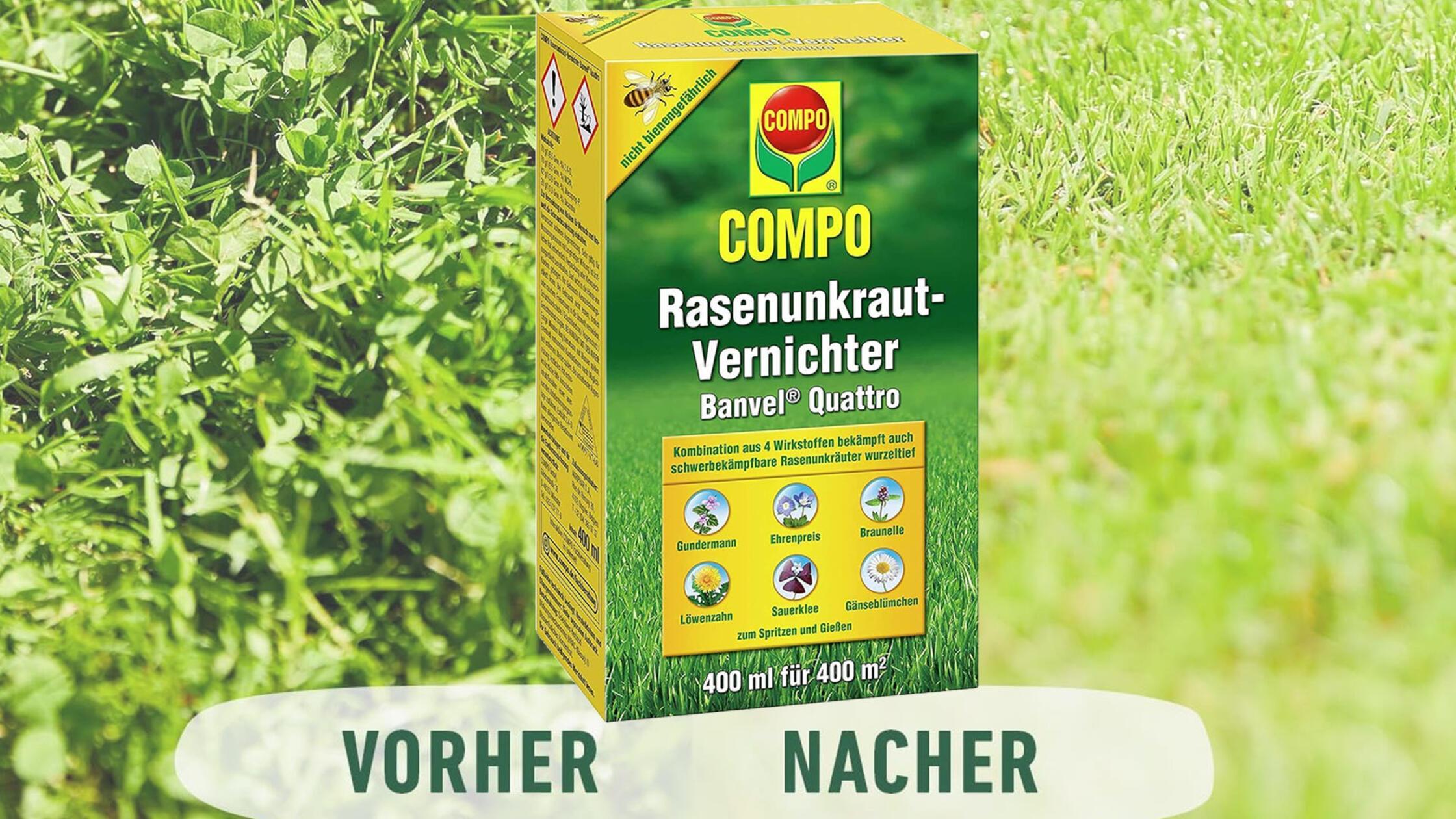 Vier Wirkstoffe in einem Mittel: Darum verkauft sich Rasenunkrautvernichter  von Compo zigtausendfach