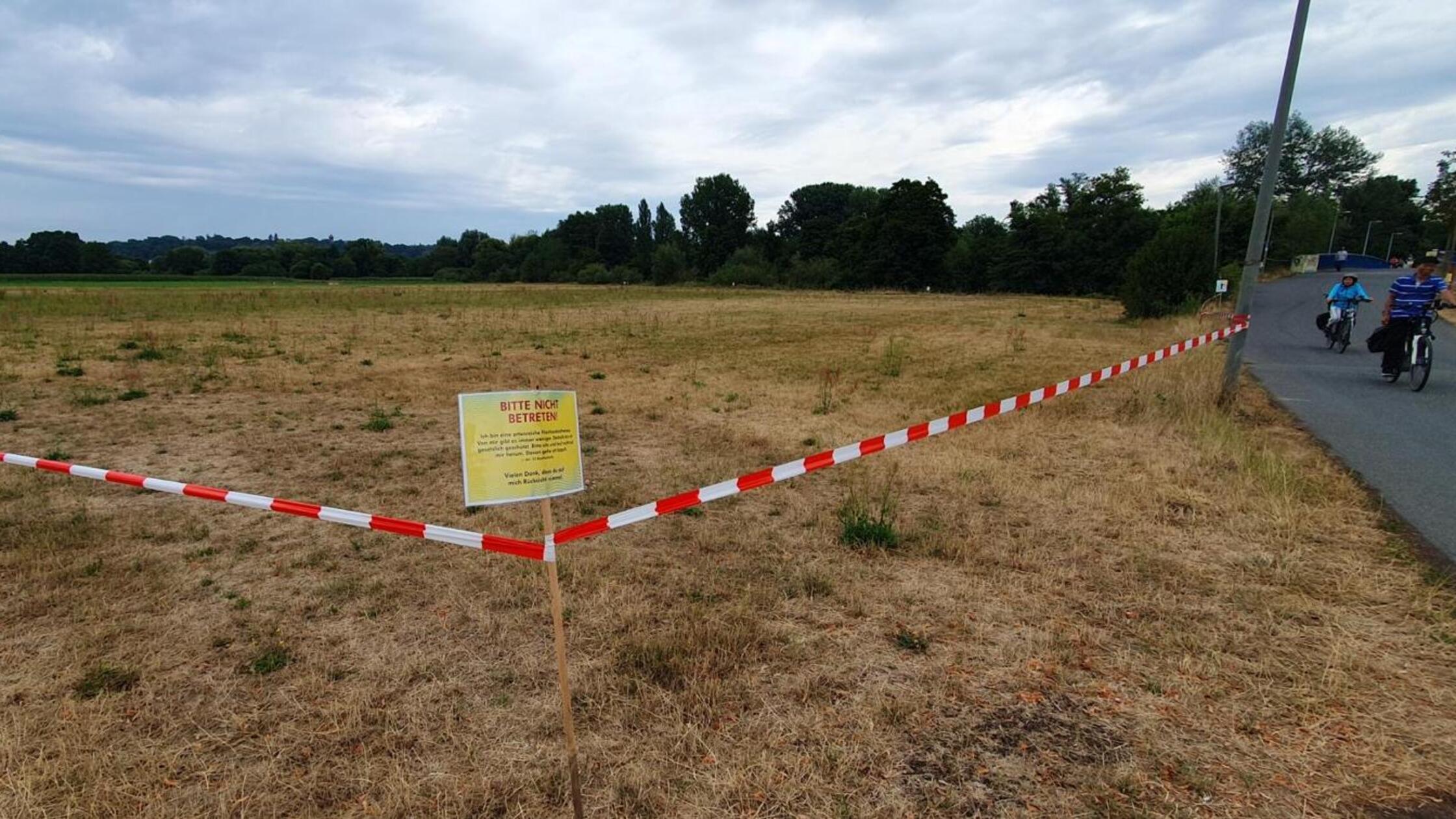 Schluss mit Zaung&auml;sten bei W&ouml;hrm&uuml;hl-Konzerten in Erlangen? Darum ist die Wiese abgesperrt
