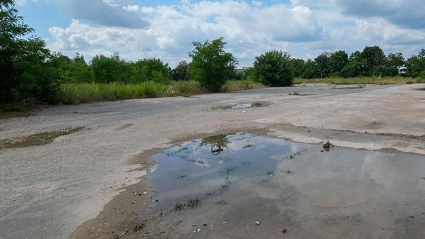 170725_di_drehtuerschule03