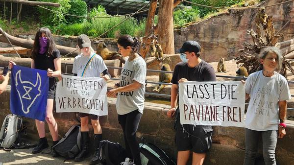 Aktivisten ketten sich an Paviangehege: Aufsehen e