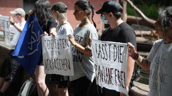 Aktivisten ketten sich an Paviangehege: Aufsehen e