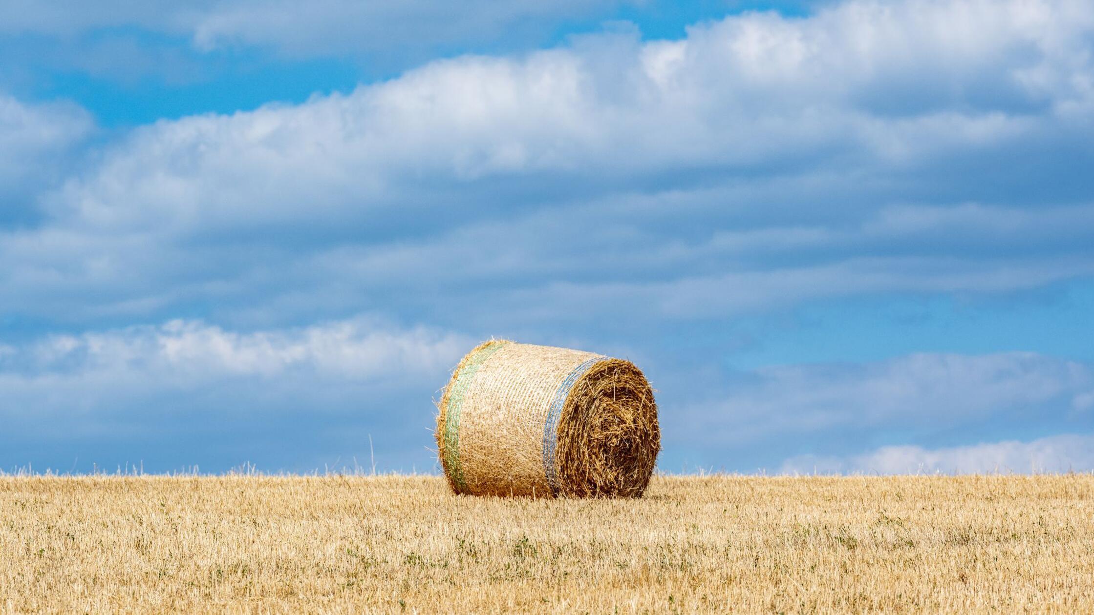 Ballenpresse geht in Flammen auf - rund 150.000 Euro Schaden